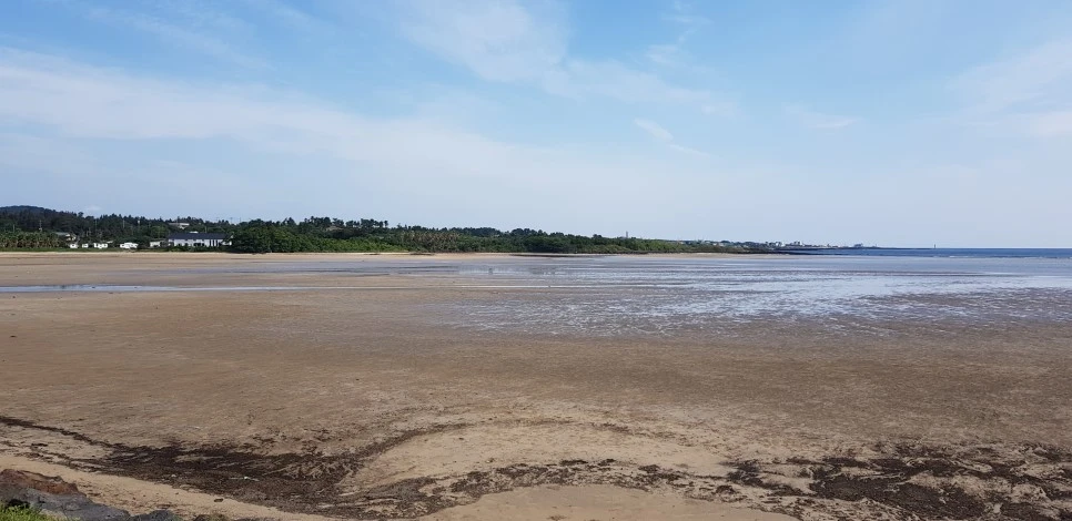 20180922_101205.jpg?type=w966