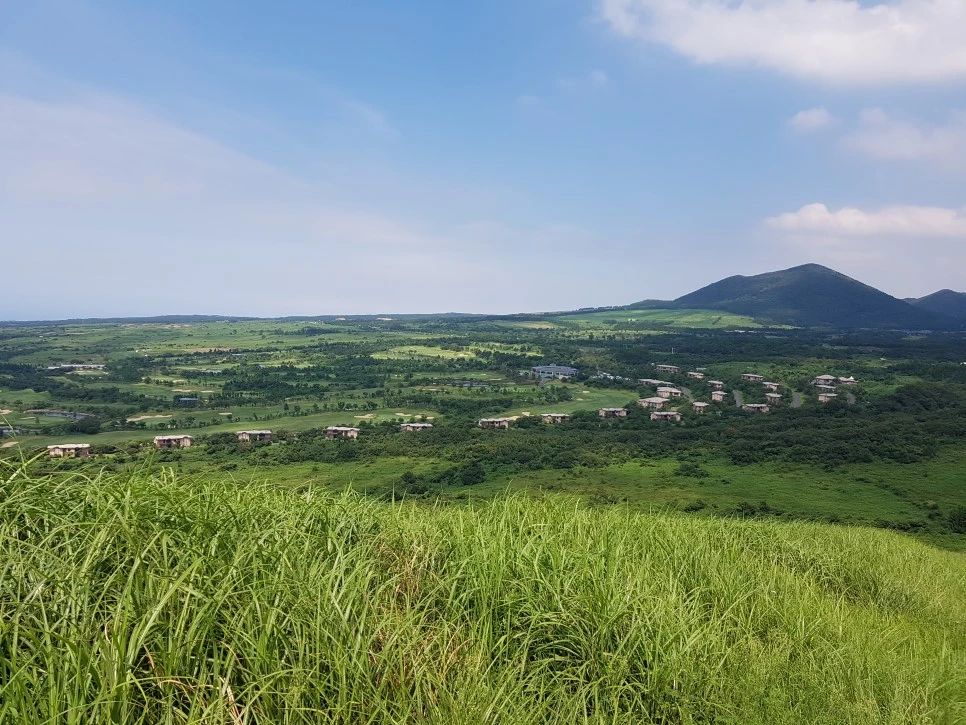 20160826_141530.jpg?type=w966