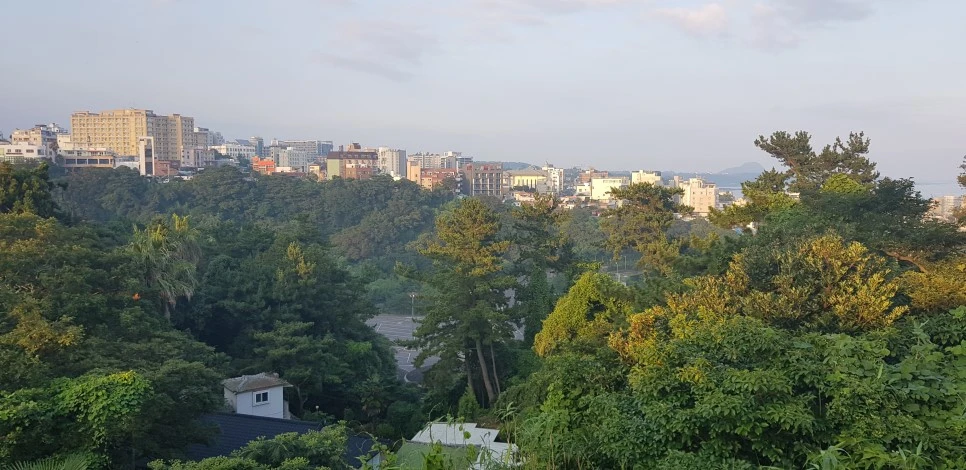 20180714_185524.jpg?type=w966