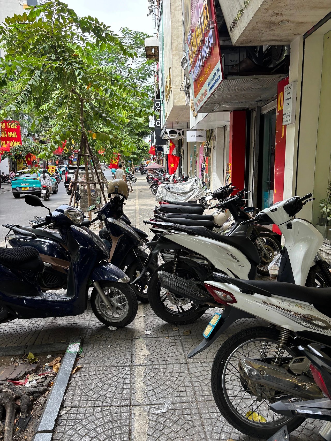 IMG_5430 - 복사본.JPG