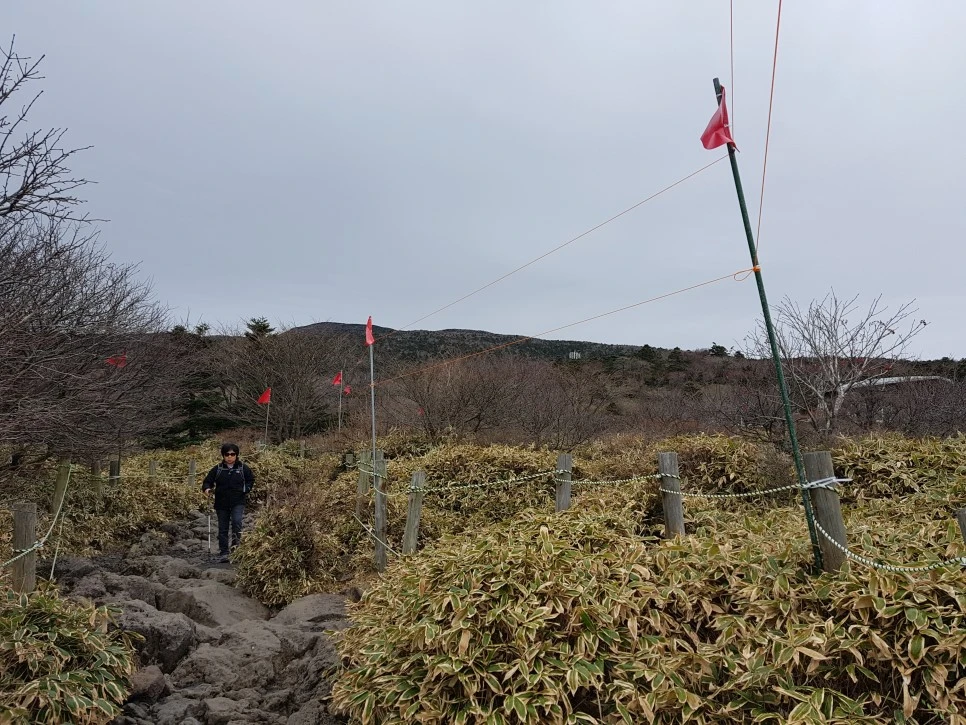 20161204_122616.jpg?type=w966