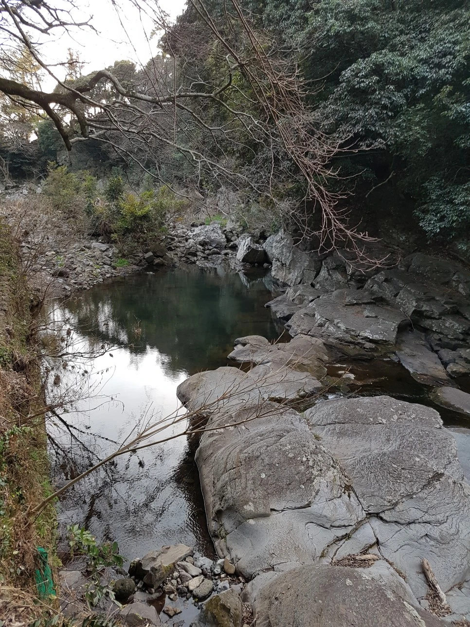 20170305_175504.jpg?type=w966