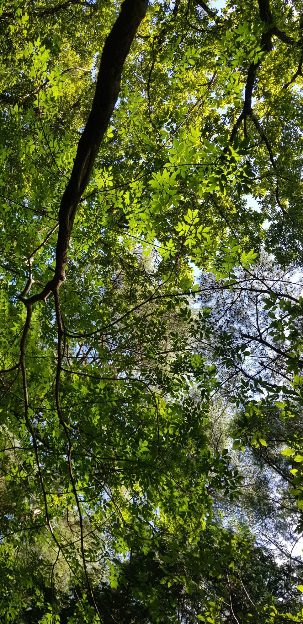 20180802_104704.jpg?type=w966