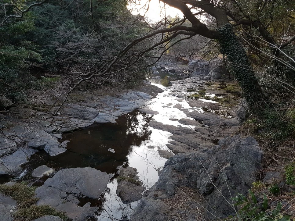 20170305_175347.jpg?type=w966