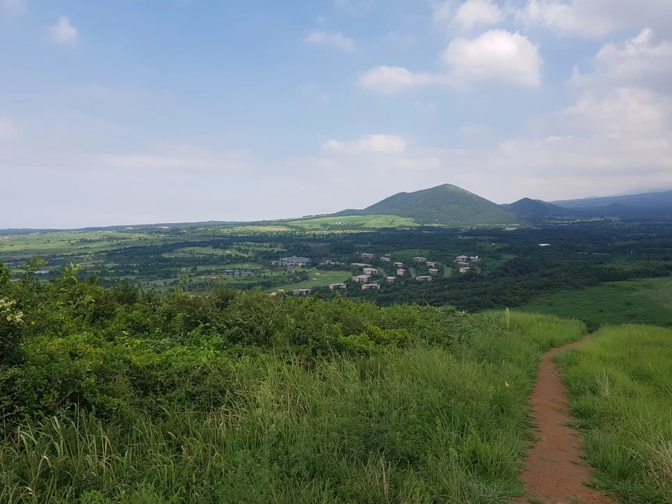 20160826_140005.jpg?type=w966