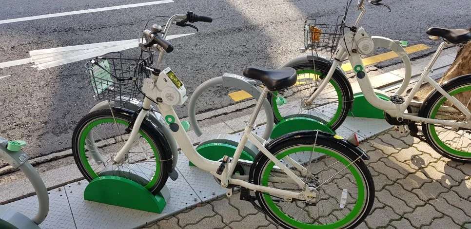 20180901_075913.jpg?type=w966