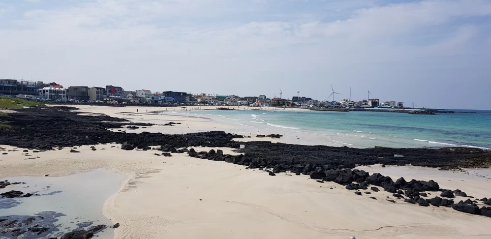 20180922_134324.jpg?type=w966