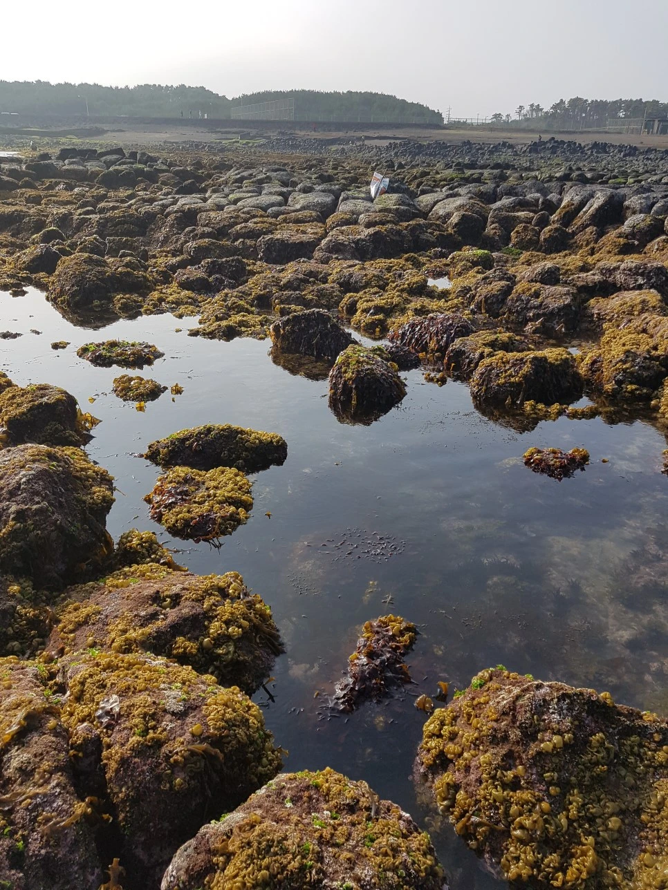 20170329_161854.jpg?type=w966