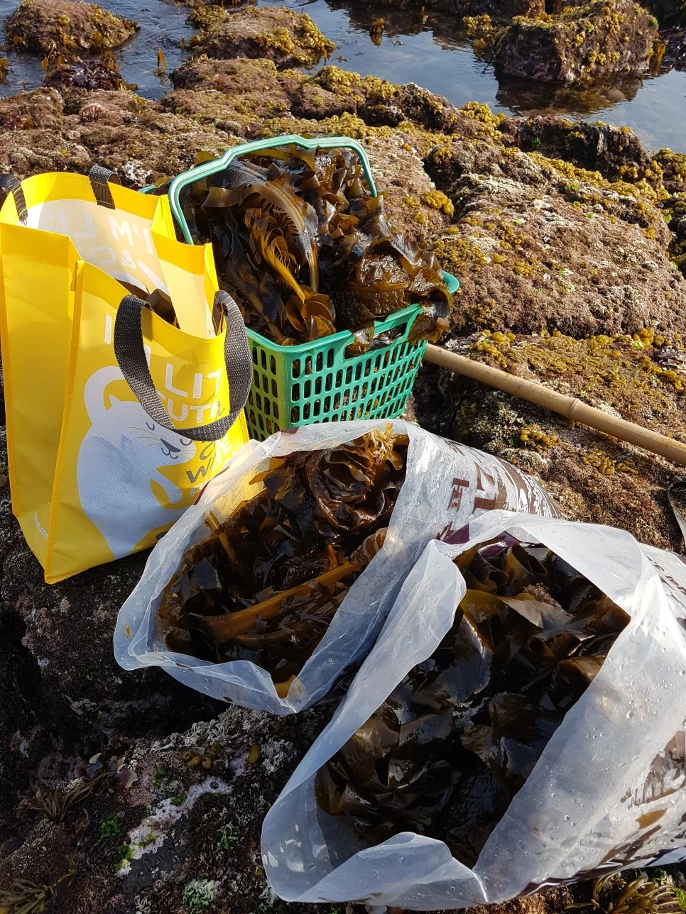 20170329_163053.jpg?type=w966