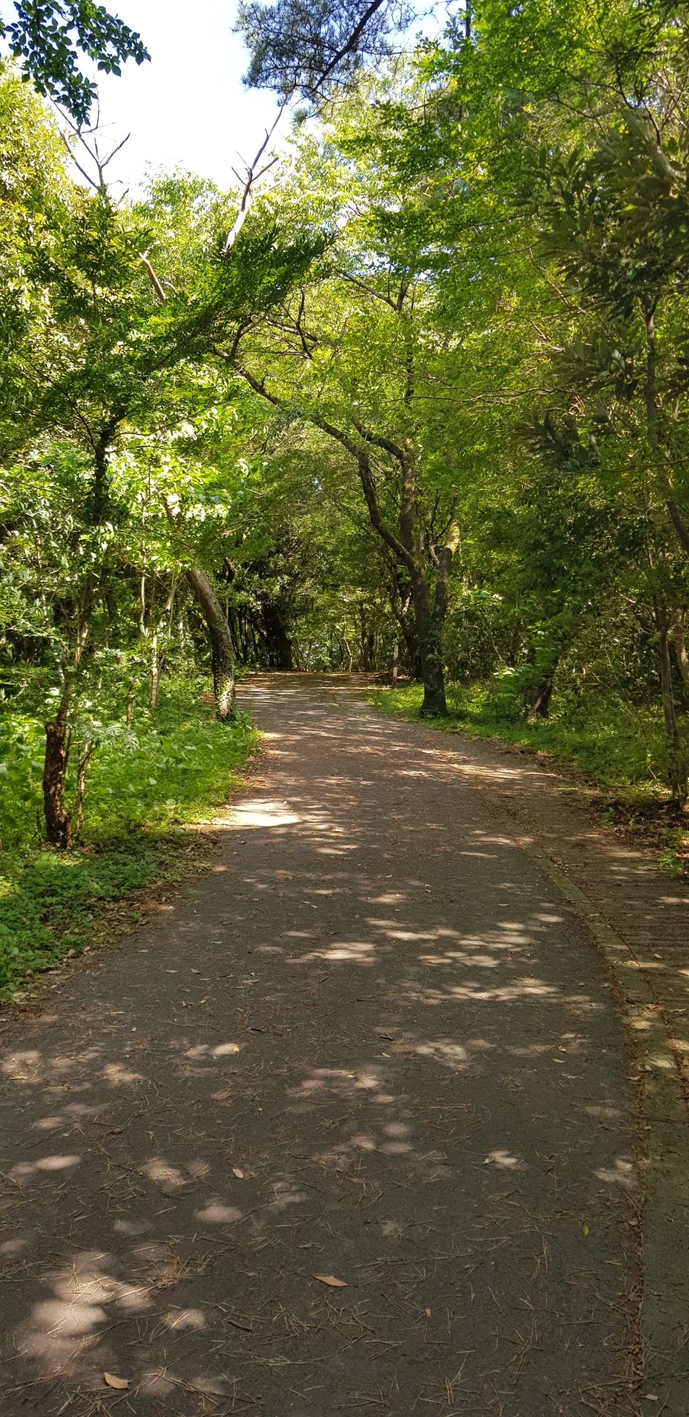 20180802_101052.jpg?type=w966