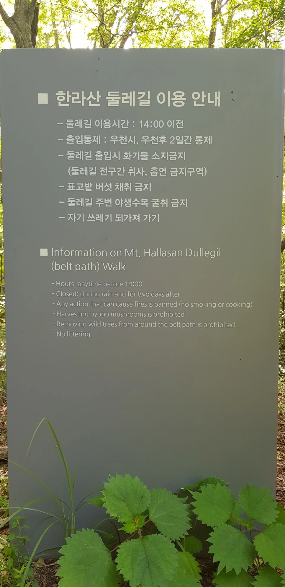 20180802_102046.jpg?type=w966