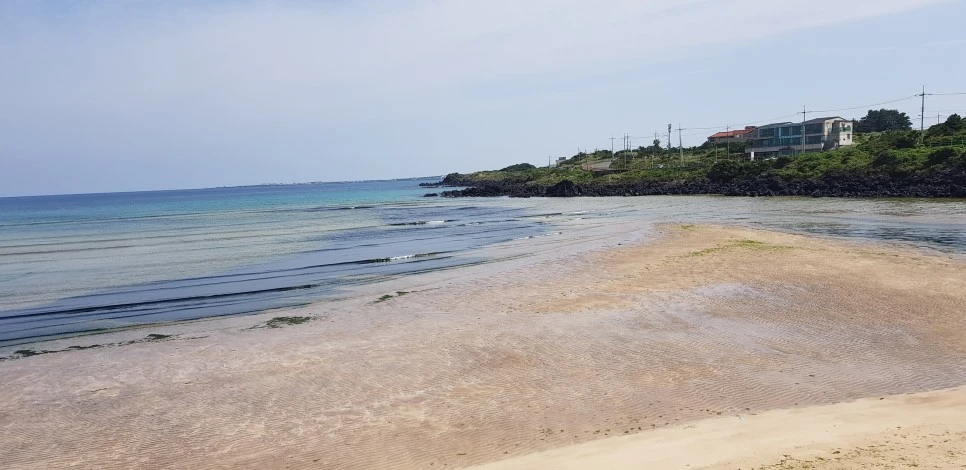 20180922_124013.jpg?type=w966