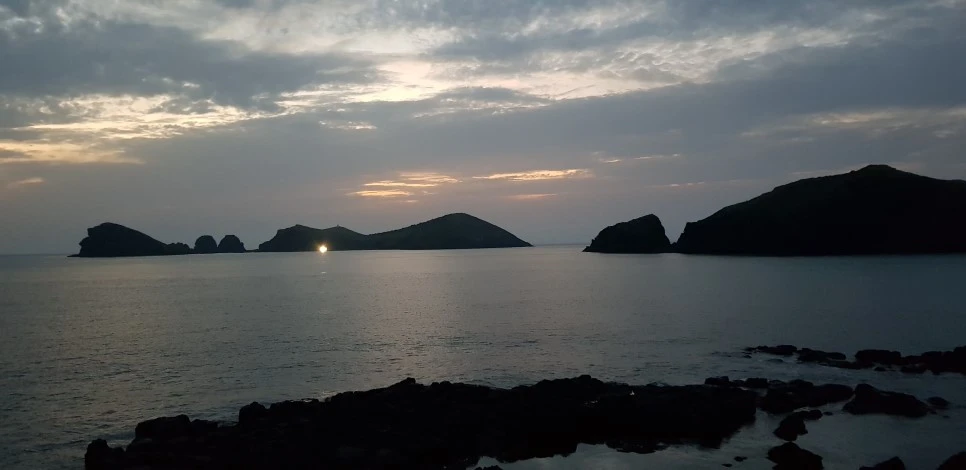 20180922_185647.jpg?type=w966