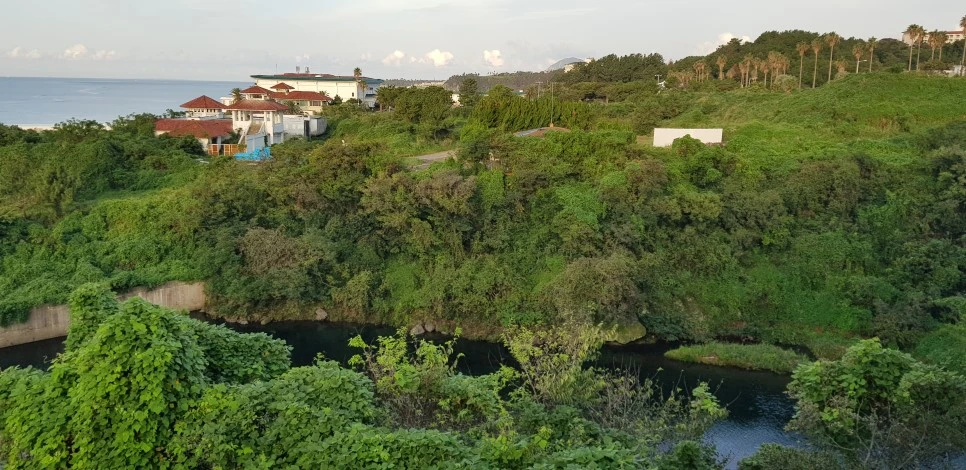 20180922_070825.jpg?type=w966