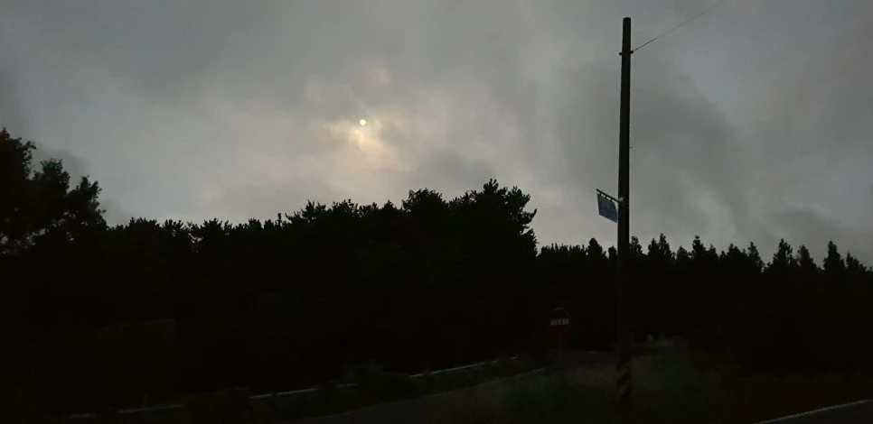 20180730_051513.jpg?type=w966