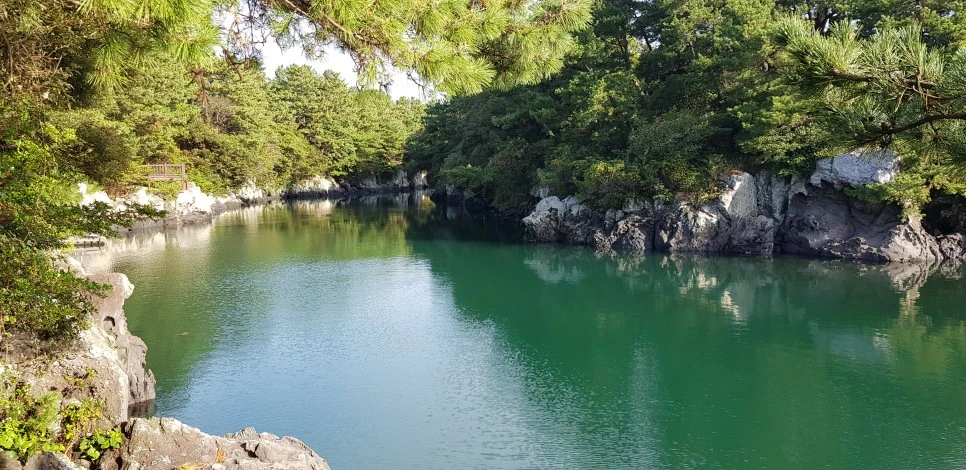 20180922_082750.jpg?type=w966