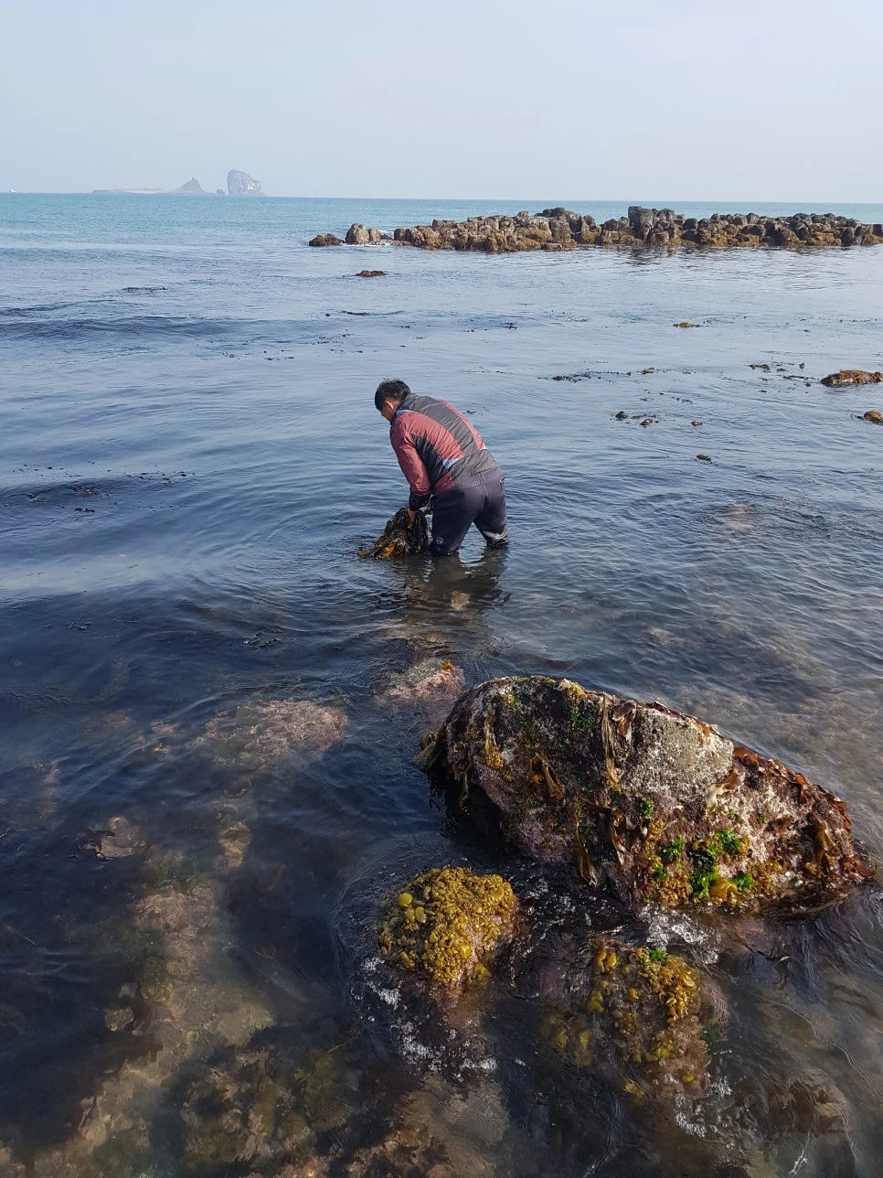 20170329_161900.jpg?type=w966