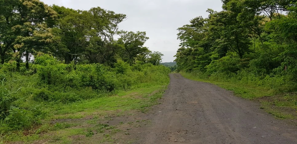 20180610_143859.jpg?type=w966