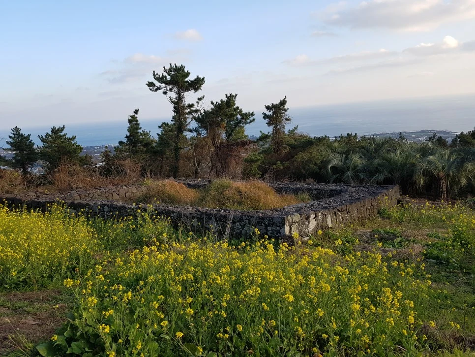 20170101_164607.jpg?type=w966