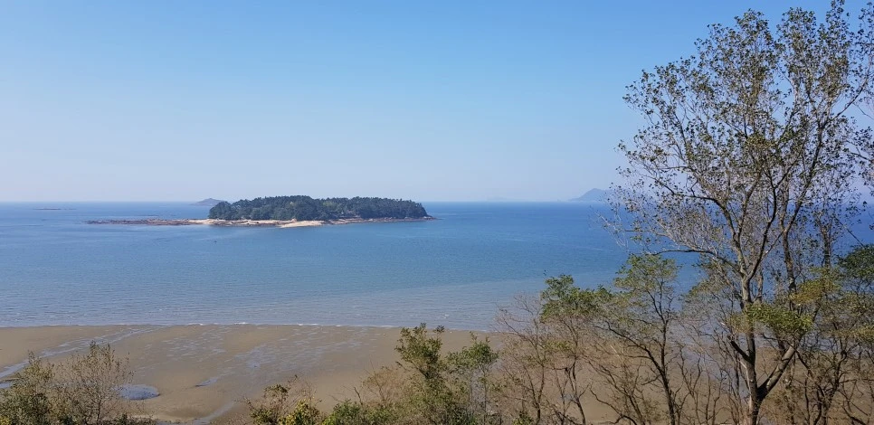 20181013_134524.jpg?type=w966