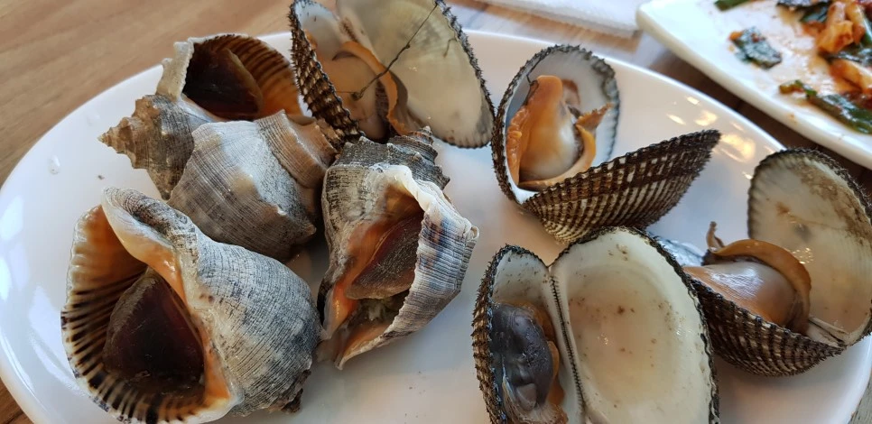 20181110_130946.jpg?type=w966