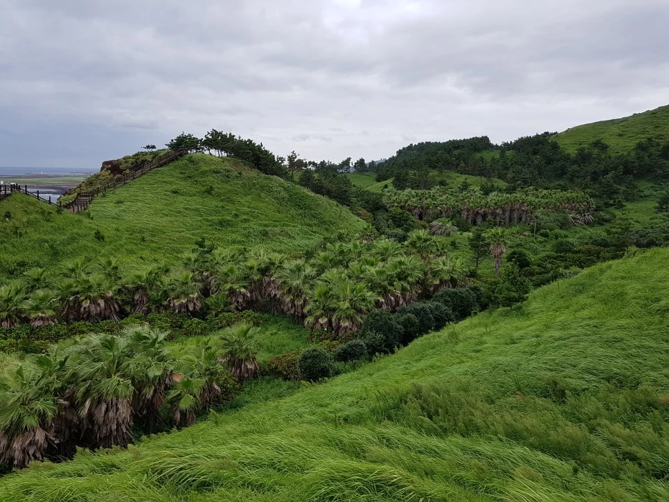 20160827_123706.jpg?type=w966