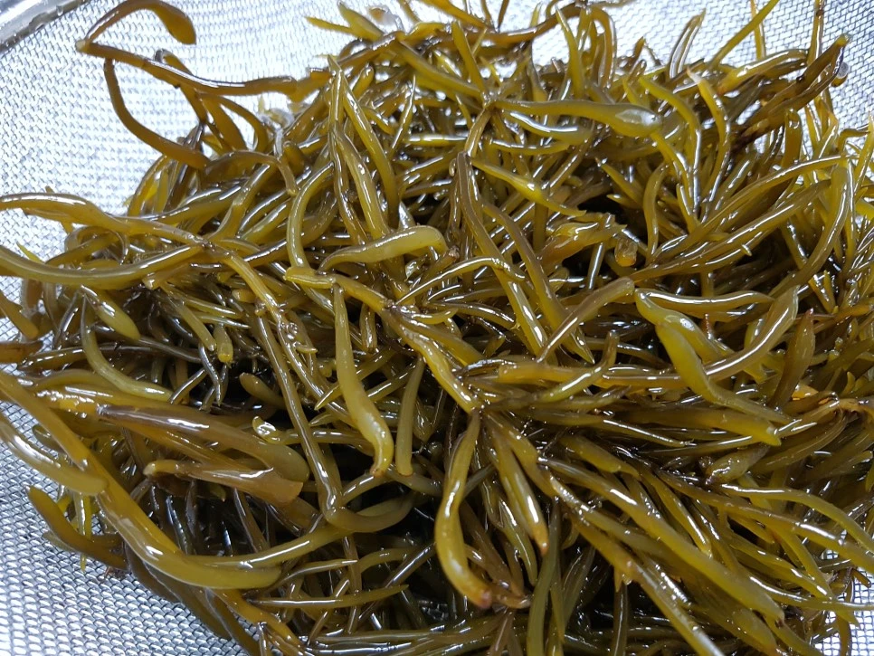 20170329_210112.jpg?type=w966