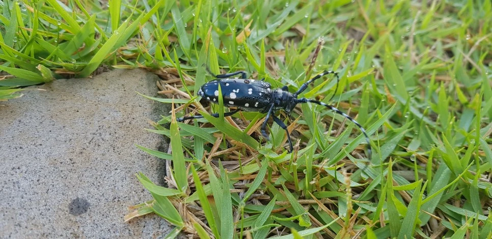 20180715_071030.jpg?type=w966