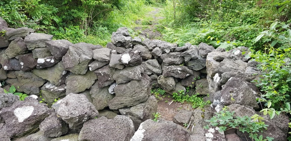 20180610_144619.jpg?type=w966