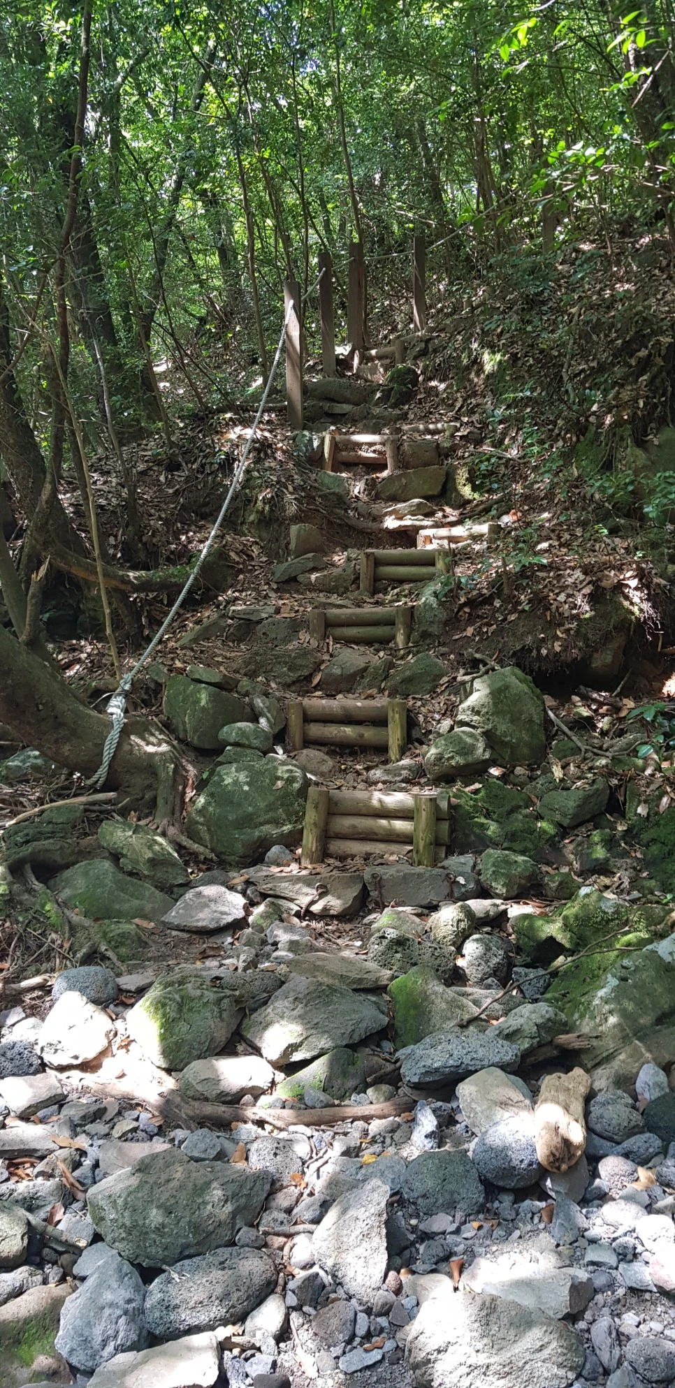 20180802_105923.jpg?type=w966