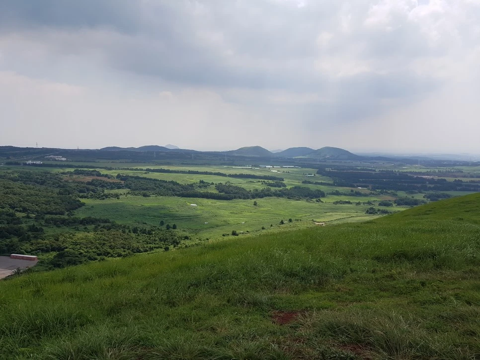 20160826_135955.jpg?type=w966