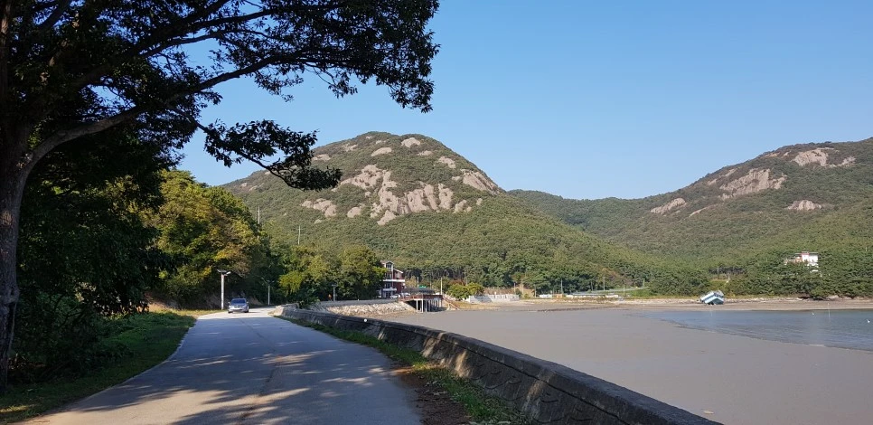 20181013_152746.jpg?type=w966