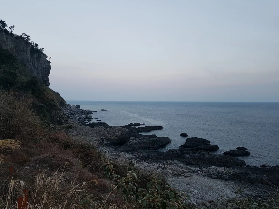 20170305_183408.jpg?type=w966