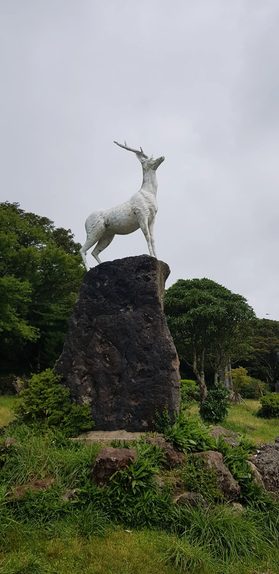 20180729_101630.jpg?type=w966