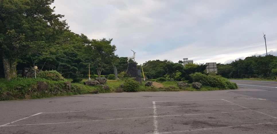 20180730_062556.jpg?type=w966