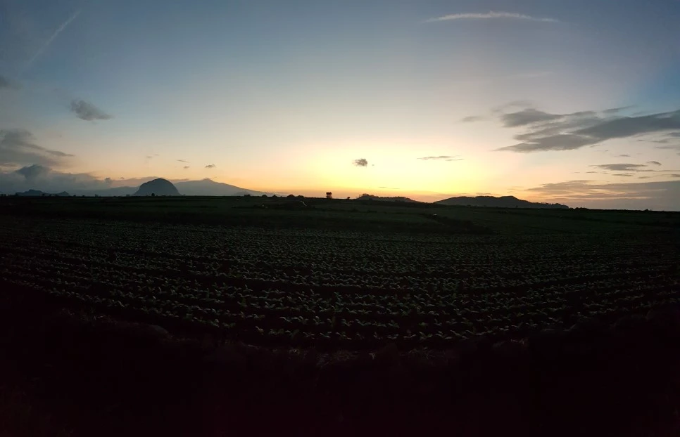 20180922_060311.jpg?type=w966