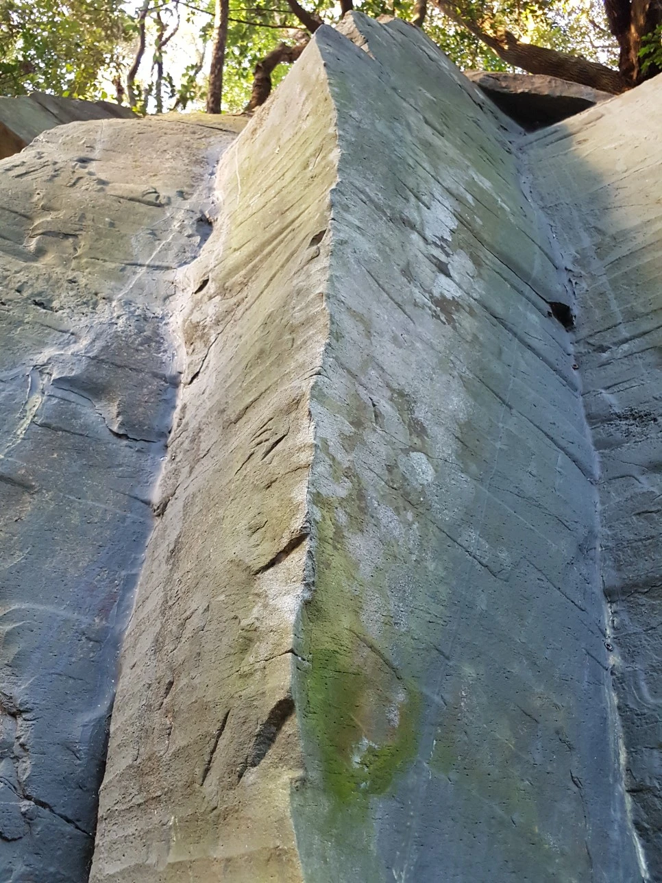 20170305_175240.jpg?type=w966