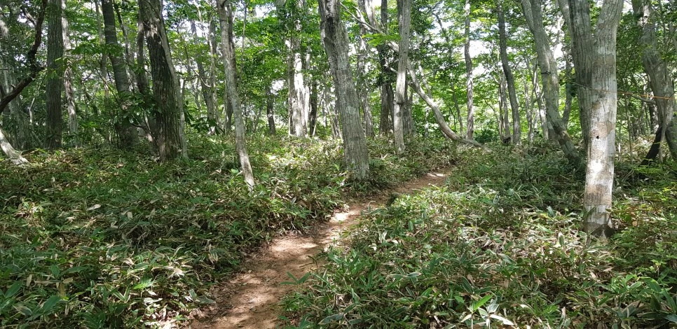 20180802_103001.jpg?type=w966