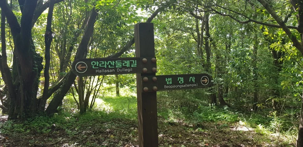 20180802_101555.jpg?type=w966