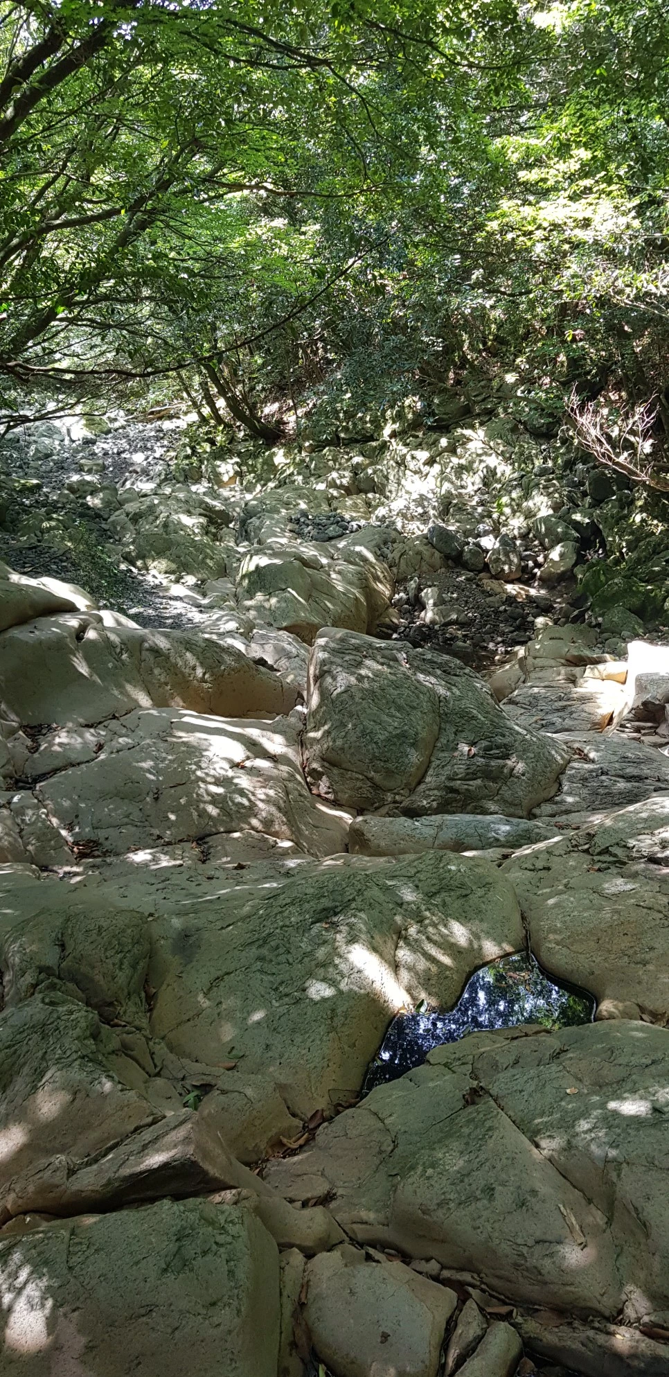 20180802_110012.jpg?type=w966