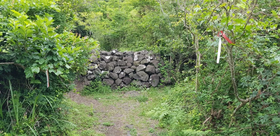 20180610_144609.jpg?type=w966