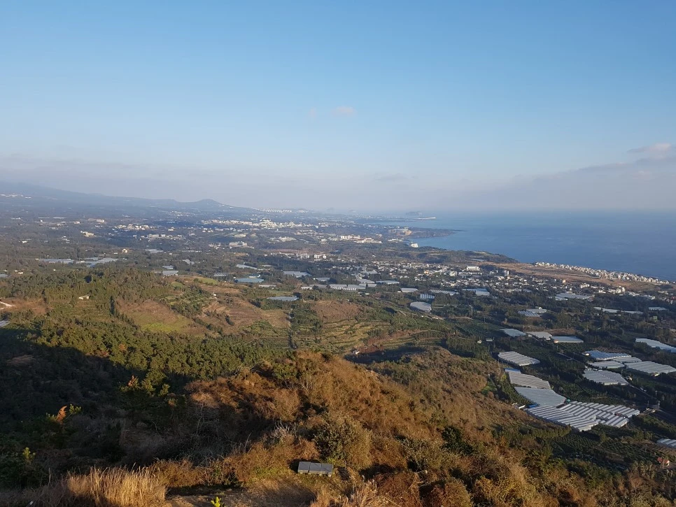 20170101_163337.jpg?type=w966