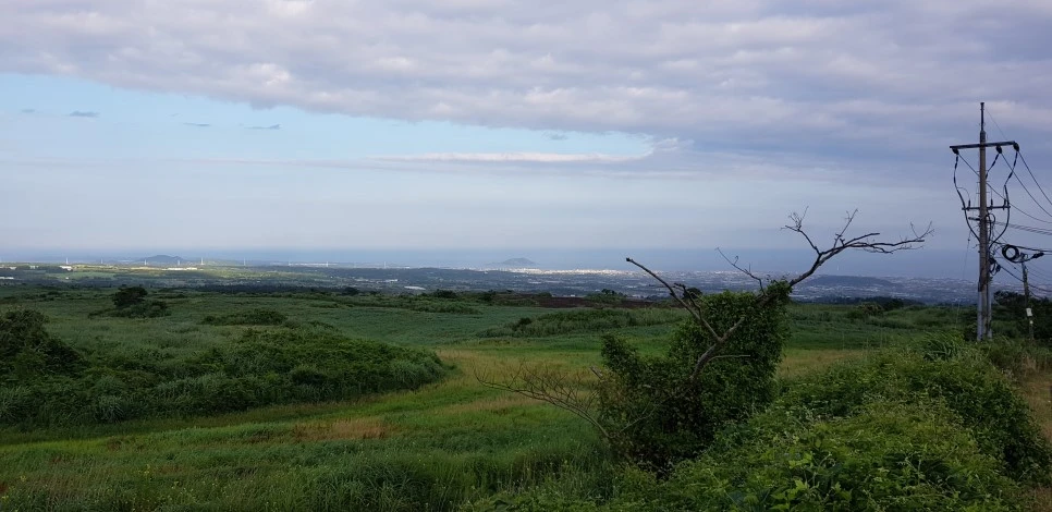 20180730_071818.jpg?type=w966