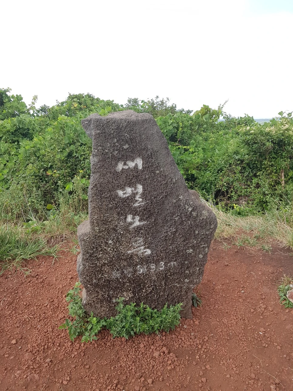 20160826_135949.jpg?type=w966