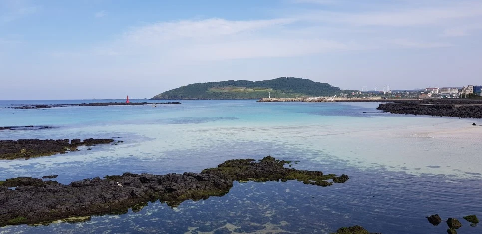 20180922_143649.jpg?type=w966