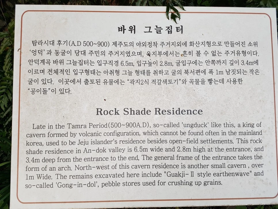 20170305_175339.jpg?type=w966