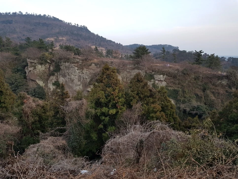 20170305_182124.jpg?type=w966