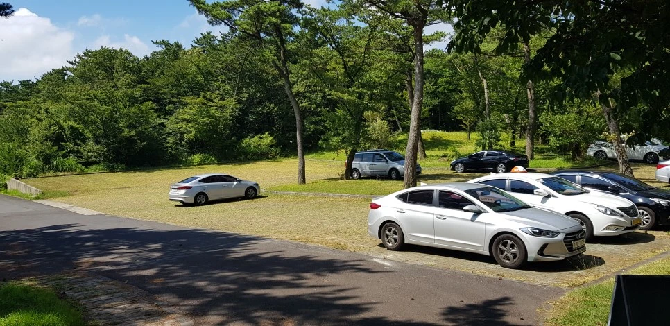 20180802_100950.jpg?type=w966