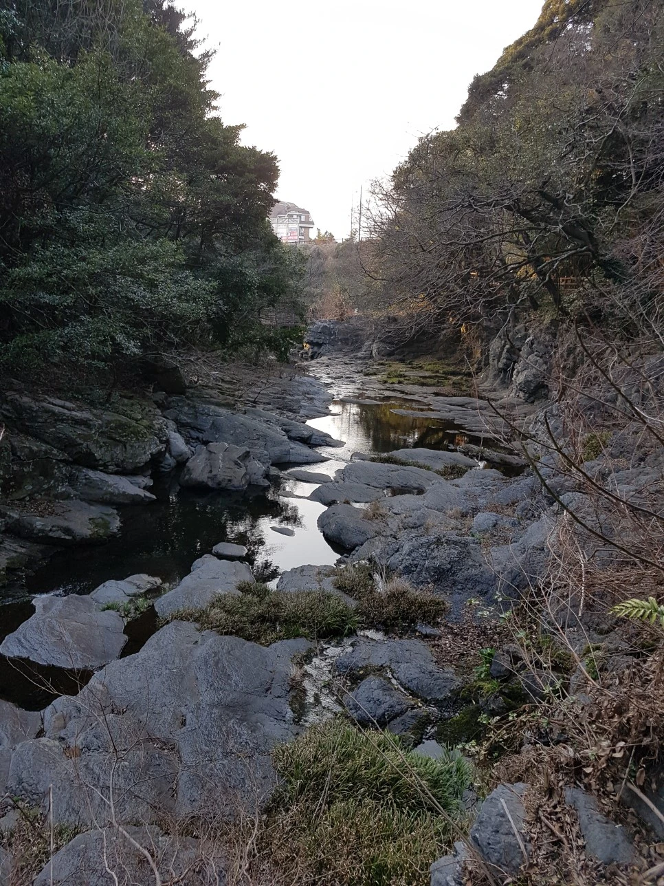 20170305_175457.jpg?type=w966