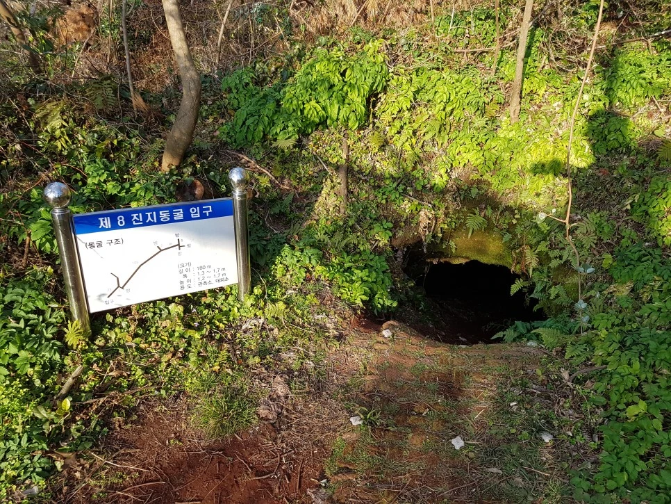 20170101_162733.jpg?type=w966